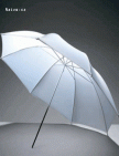 Deštník bílý