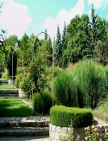 Botanická zahrada - arboretum