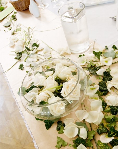 Zuzana & Vladimír Zuzana & Vladimír