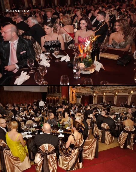 Ples v Opeře 2013