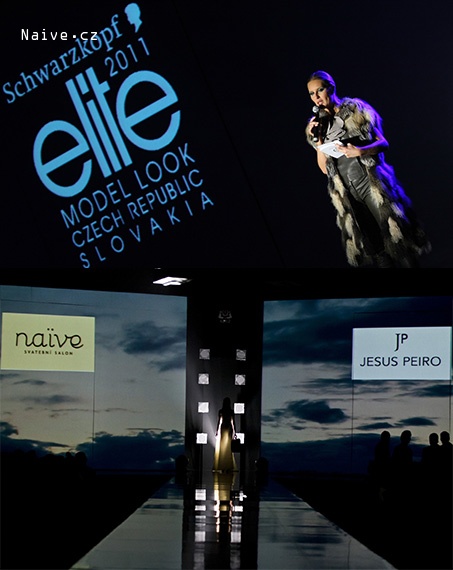 Schwarzkopf elite MODEL LOOK 2011